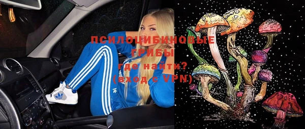 мяу мяу мука Алзамай