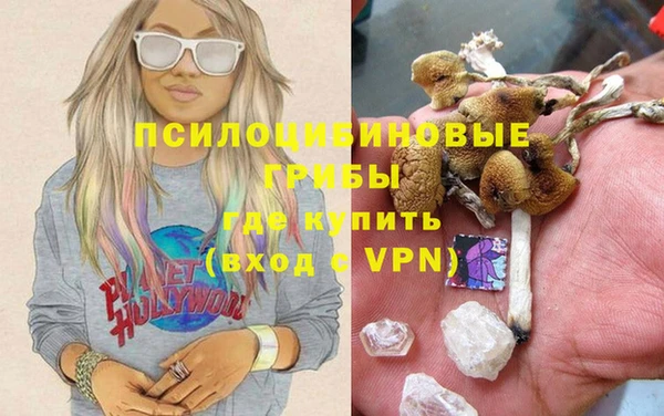 мяу мяу мука Алзамай